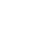 Truck-Icon